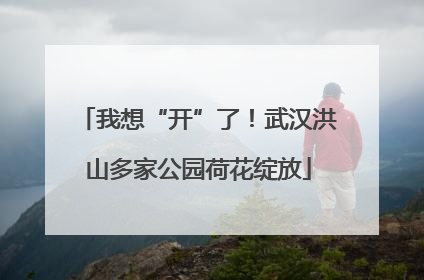 我想“开”了！武汉洪山多家公园荷花绽放