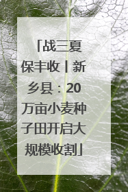 战三夏 保丰收丨新乡县：20万亩小麦种子田开启大规模收割