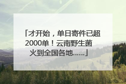 才开始，单日寄件已超2000单！云南野生菌火到全国各地……