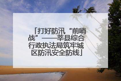 打好防汛“前哨战”——莘县综合行政执法局筑牢城区防汛安全防线