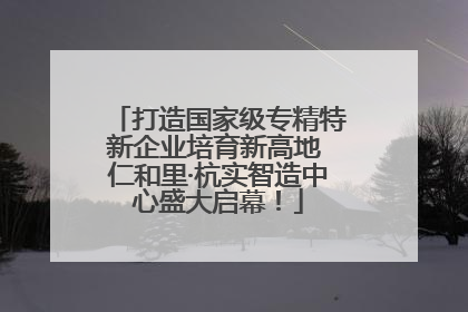 打造国家级专精特新企业培育新高地 仁和里·杭实智造中心盛大启幕！