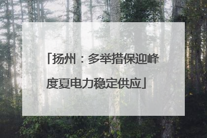 扬州：多举措保迎峰度夏电力稳定供应