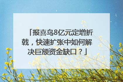 报喜鸟8亿元定增折戟，快速扩张中如何解决巨额资金缺口？