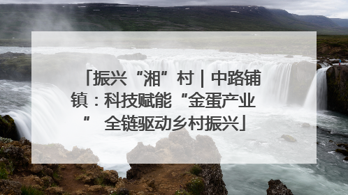振兴“湘”村｜中路铺镇：科技赋能“金蛋产业” 全链驱动乡村振兴