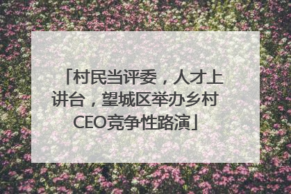 村民当评委，人才上讲台，望城区举办乡村CEO竞争性路演