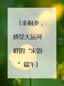 来桐乡，感受大运河畔的“宋韵”端午