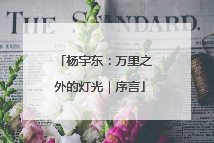 杨宇东：万里之外的灯光｜序言
