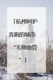 杭州呵护奔跑的城市“毛细血管”