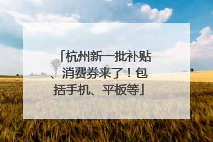 杭州新一批补贴、消费券来了！包括手机、平板等