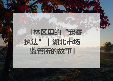 林区里的“宠客执法”｜湖北市场监管所的故事
