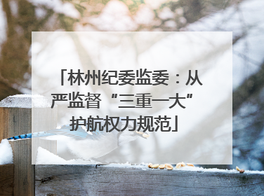 林州纪委监委：从严监督“三重一大” 护航权力规范