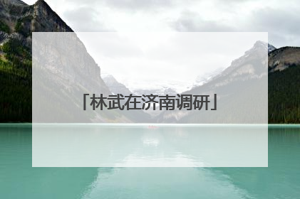 林武在济南调研
