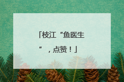 枝江“鱼医生”，点赞！