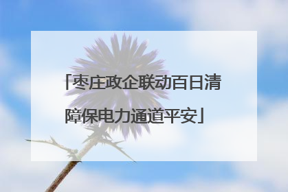 枣庄政企联动百日清障保电力通道平安