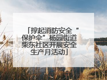 撑起消防安全“保护伞”杨园街道柴东社区开展安全生产月活动