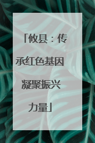 攸县：传承红色基因 凝聚振兴力量