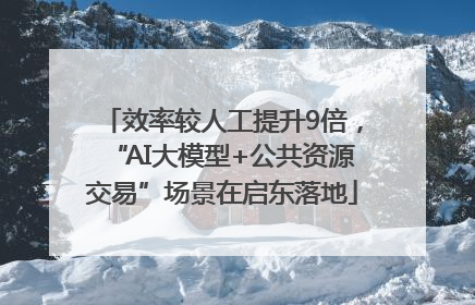 效率较人工提升9倍，“AI大模型+公共资源交易”场景在启东落地