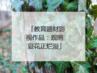 教育题材影视作品：观照夏花正烂漫