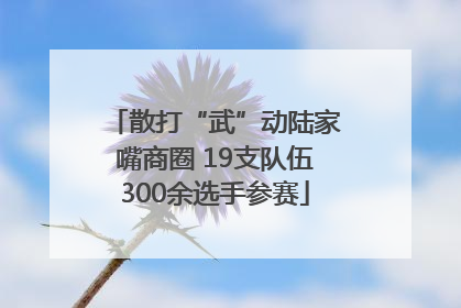 散打“武”动陆家嘴商圈 19支队伍300余选手参赛