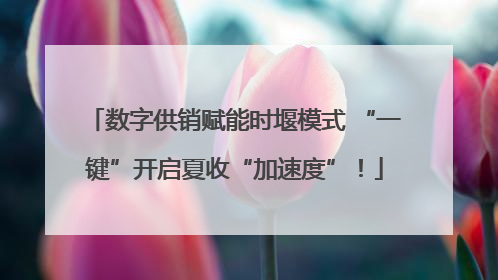 数字供销赋能时堰模式 “一键”开启夏收“加速度”！