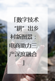 数字技术“耕”出乡村新图景：电商助力三产深度融合