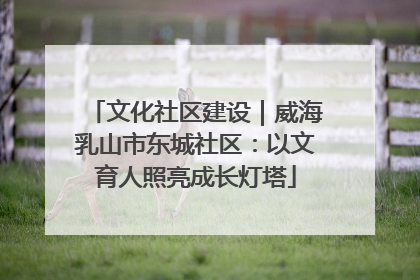 文化社区建设｜威海乳山市东城社区：以文育人照亮成长灯塔