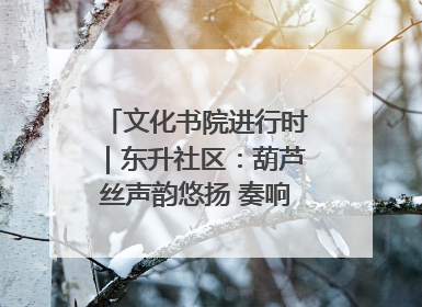 文化书院进行时｜东升社区：葫芦丝声韵悠扬 奏响文化和谐曲