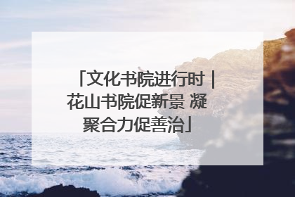 文化书院进行时｜花山书院促新景 凝聚合力促善治