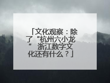 文化观察：除了“杭州六小龙” 浙江数字文化还有什么？