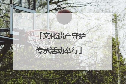 文化遗产守护传承活动举行