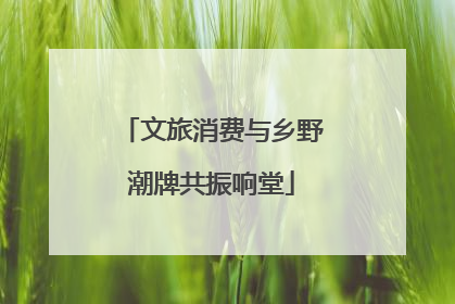 文旅消费与乡野潮牌共振响堂