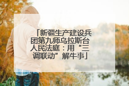 新疆生产建设兵团第九师乌拉斯台人民法庭：用“三调联动”解牛事