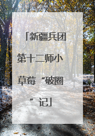新疆兵团第十二师小草莓“破圈”记