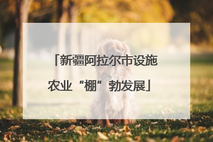 新疆阿拉尔市设施农业“棚”勃发展