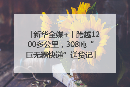 新华全媒+丨跨越1200多公里，308吨“巨无霸快递”送货记