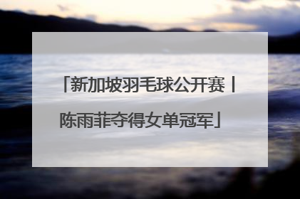 新加坡羽毛球公开赛丨陈雨菲夺得女单冠军