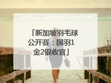 新加坡羽毛球公开赛：国羽1金2银收官