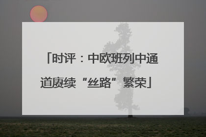 时评：中欧班列中通道赓续“丝路”繁荣