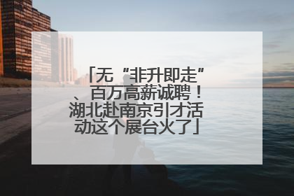 无“非升即走”、百万高薪诚聘！湖北赴南京引才活动这个展台火了