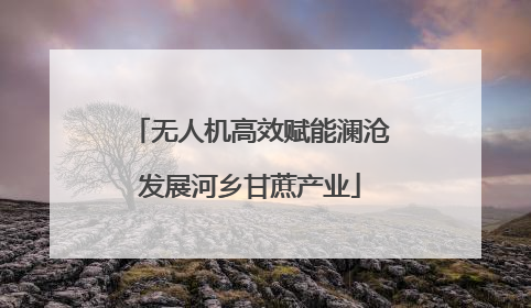 无人机高效赋能澜沧发展河乡甘蔗产业