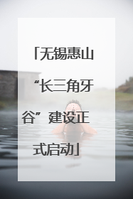 无锡惠山“长三角牙谷”建设正式启动