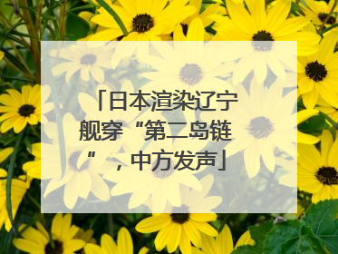 日本渲染辽宁舰穿“第二岛链”，中方发声