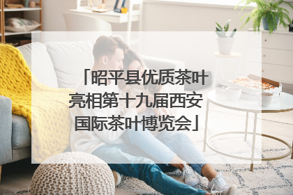 昭平县优质茶叶亮相第十九届西安国际茶叶博览会