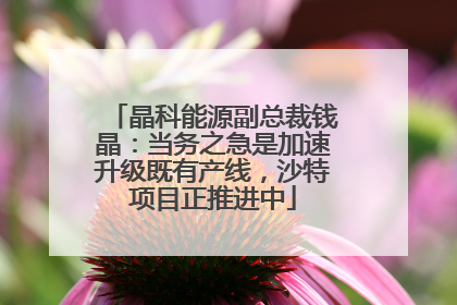 晶科能源副总裁钱晶：当务之急是加速升级既有产线，沙特项目正推进中