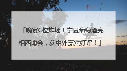 晚宴C位炸场！宁夏葡萄酒亮相西博会，获中外嘉宾好评！