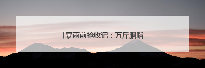 暴雨前抢收记：万斤胭脂红鲜桃传递“双向甜蜜”