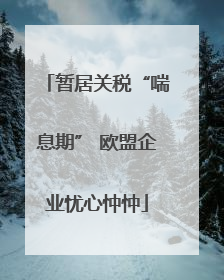 暂居关税“喘息期” 欧盟企业忧心忡忡