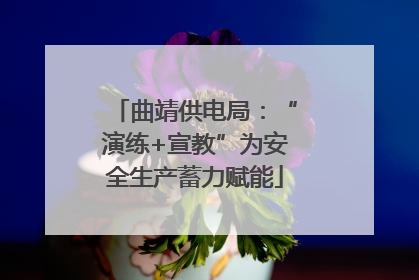 曲靖供电局：“演练+宣教”为安全生产蓄力赋能