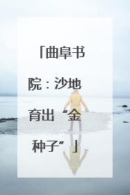 曲阜书院：沙地育出“金种子”