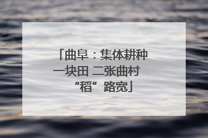 曲阜：集体耕种一块田 二张曲村“稻”路宽